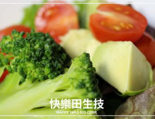 熱到吃不下？夏日開胃料理好簡單